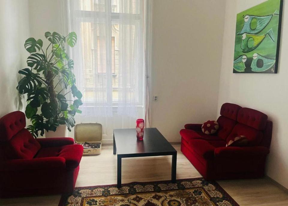 Doxie Rooms And Beds Budapest Esterno foto