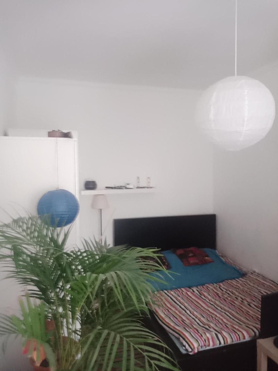 Doxie Rooms And Beds Budapest Esterno foto